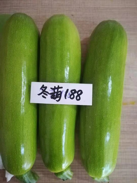 冬葫188